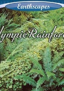Живые Пейзажи: Тропический Лес Олимпик