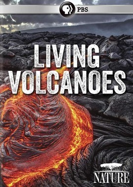 Жизнь на вулкане