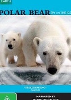 BBC: Белый медведь - Шпион во льдах