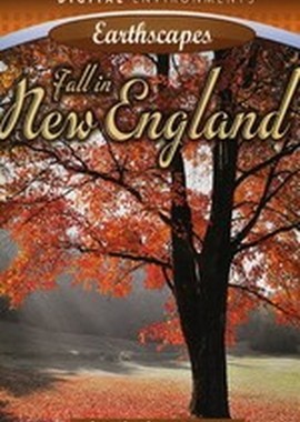 Живые Пейзажи: Осень в Новой Англии