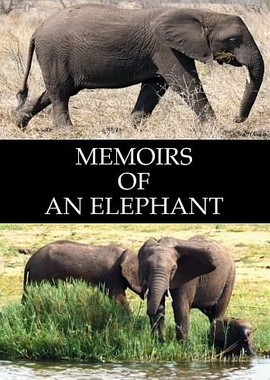 Воспоминания слона