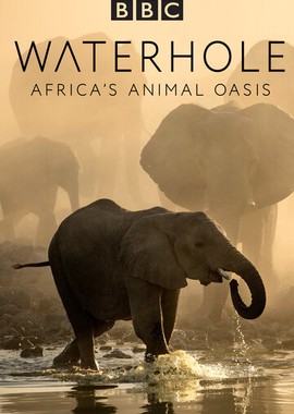 Waterhole: Africa's Animal Oasis