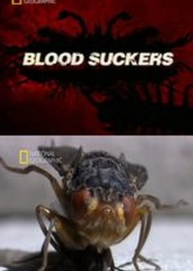 National Geographic: Атака насекомых. Кровопийцы