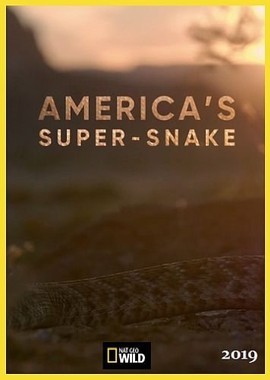 Супер-змея Америки