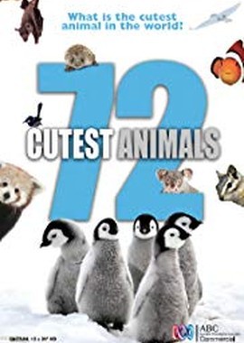 72 самых милых животных