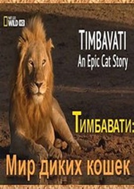 Nat Geo Wild: Тимбавати: Мир диких кошек