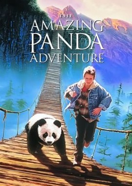 Удивительное приключение панды