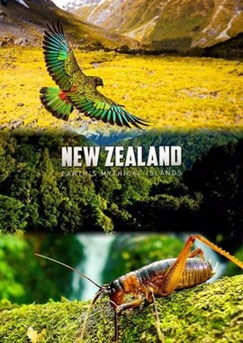 Дикая природа Новой Зеландии
