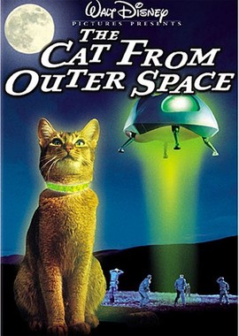 Кот из космоса