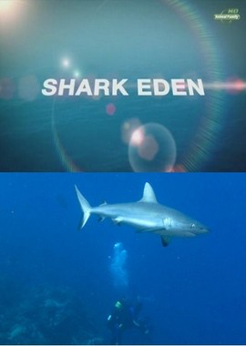 Царство акул