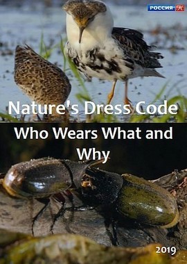 Дресс-код в дикой природе. Кто что носит и почему?