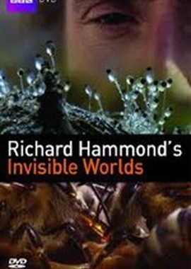 BBC: Невидимые миры