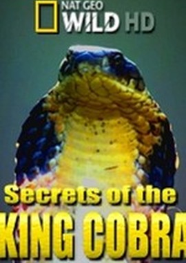 National Geographic: Загадки королевской кобры