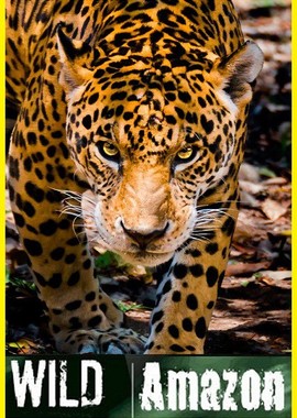 National Geographic: Дикая природа Амазонки