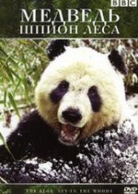 BBC: Медведь: Шпион леса