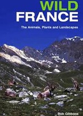 Animal Planet: Дикая Франция