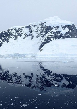 Антарктида - Замороженный континент