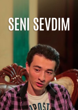 Seni sevdim