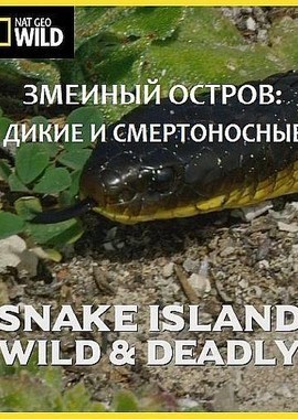 Змеиный остров: Дикие и смертоносные