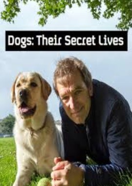 Секретная жизнь собак