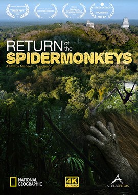 Возвращение паукообразных обезьян