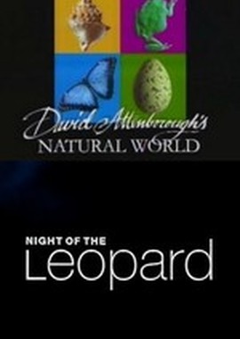 BBC: Наедине с природой: Ночь Леопарда