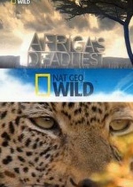 National Geographic: Хищники Африки: Идеальные убийцы
