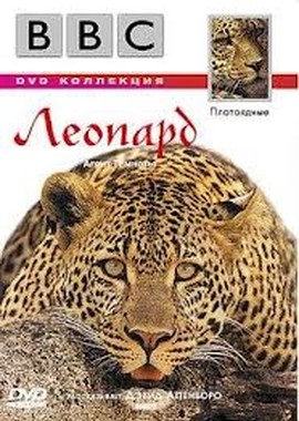 BBC Жизнь животных: Леопард