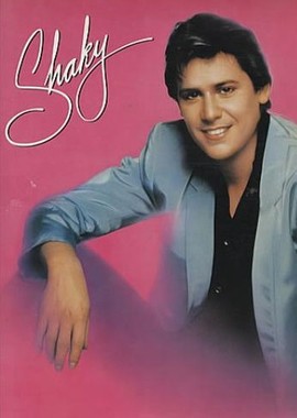 Shakin' Stevens - The Video Hits Collection