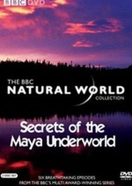 BBC: Живой мир (Мир природы): Секреты подземелий майя