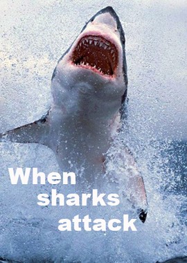 Когда акулы нападают