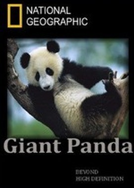 National Geographic: Гигантская панда (Панды на свободе)