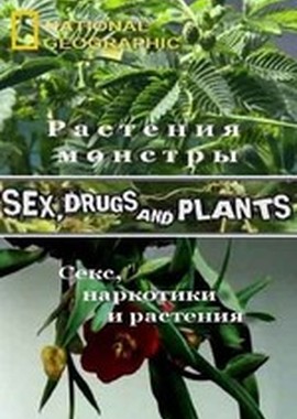 National Geographic : Растения - монстры (Секс, наркотики и растения)
