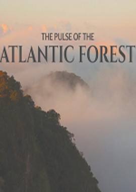 Пульс Атлантического леса