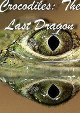Крокодилы: Последний дракон