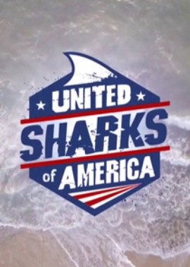 Соединённые штаты акул