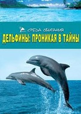 Дельфины: Проникая в тайны