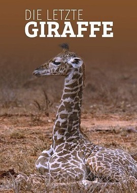 Последний жираф