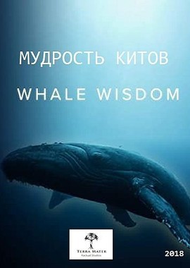 Мудрость китов