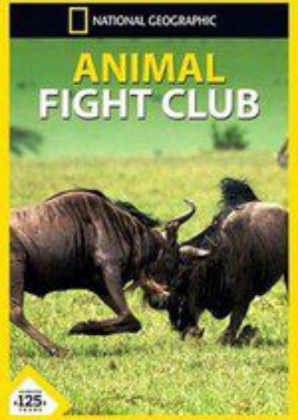 Бойцовский клуб для животных