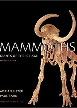 Мамонты - гиганты ледникового периода