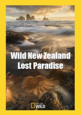 Дикая природа Новой Зеландии: затерянный рай