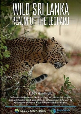 Дикая Шри-Ланка: царство леопардов