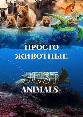 Просто животные