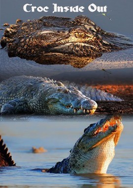 National Geographic: Секреты крокодила