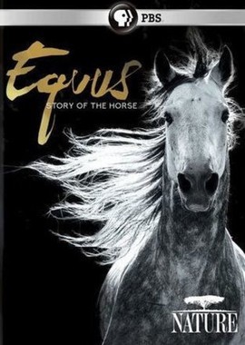 Эквус: История лошади
