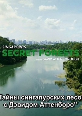 Тайны сингапурских лесов с Дэвидом Аттенборо
