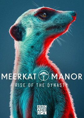 Meerkat Manor: Rise of the Dynasty