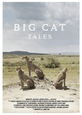 Большие кошки Кении