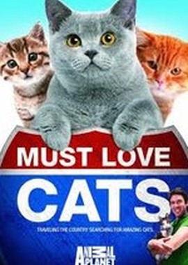Animal Planet: Кошек не любить нельзя